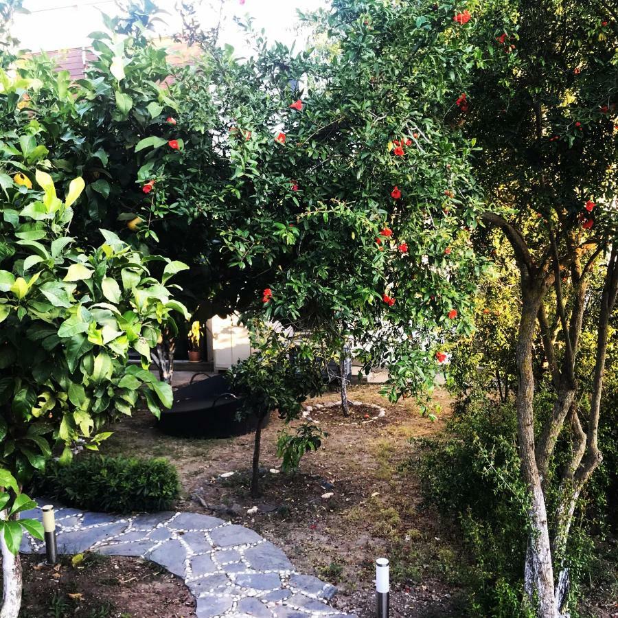 Villa No 5 Бодрум Экстерьер фото